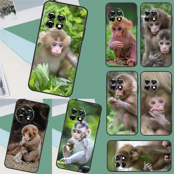 Copil drăguț Maimuță Animale Caz Pentru OnePlus 11 8 9 10 Pro 8T 9RT 10R 10T Acoperi OnePlus Nord CE 2 3 Lite 2T N10 N20 N30