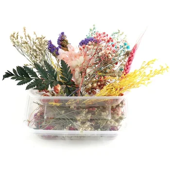 Cutie Flori Uscate DIY Accesorii Uscat Lumanare Aromatherapy Epoxidice Rășină Pandantiv Colier Bijuterii de Luare de Artizanat